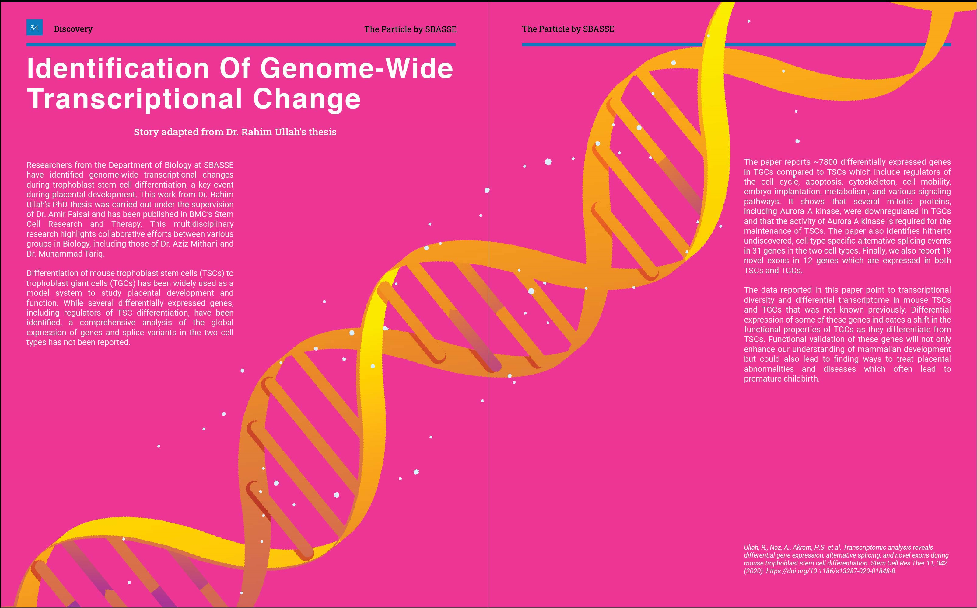Article on Genome-wide Transcriptional Change