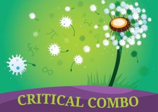 Critical Combo