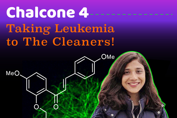 Chalcone 4 – Taking Leukemia to The Cleaners!